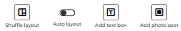 Layout, Photo, & Text Options