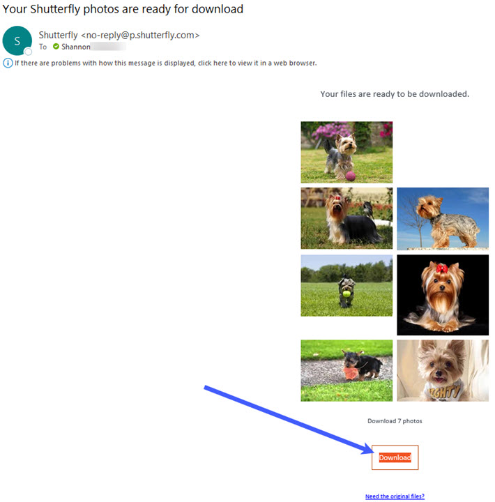 Click Download