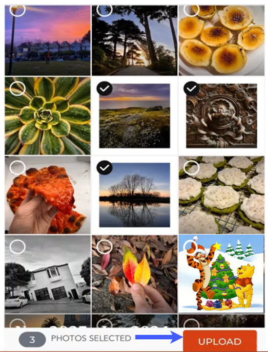 Select Photos