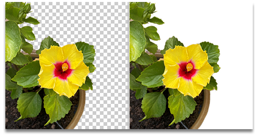 screenshot comparison example of file with transparency and file without