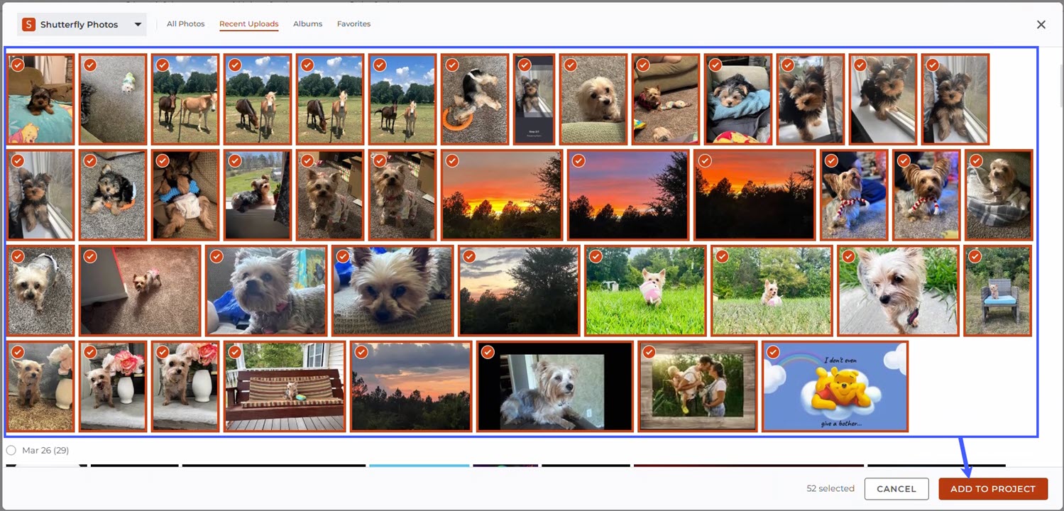 Click Add To Project
