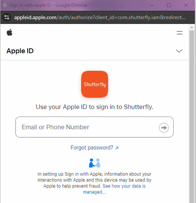 Enter Apple Info