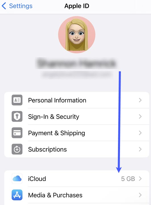 Click iCloud