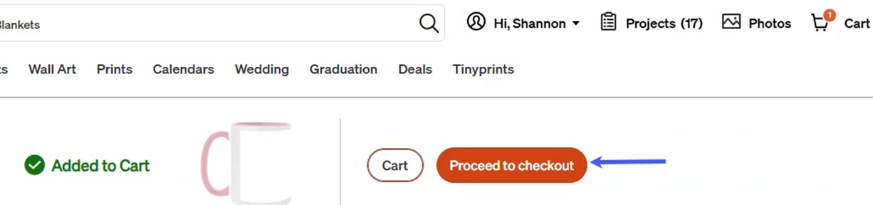 Click Proceed to Checkout