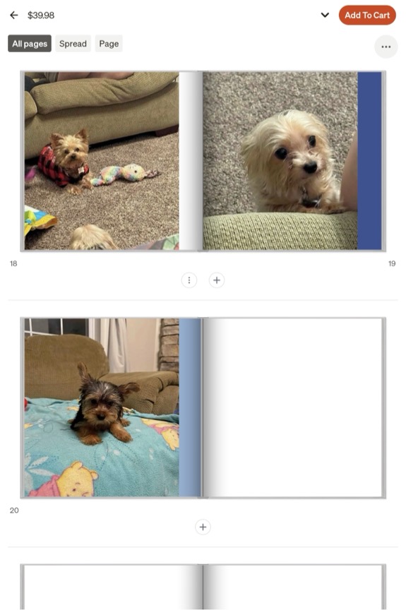 All Pages