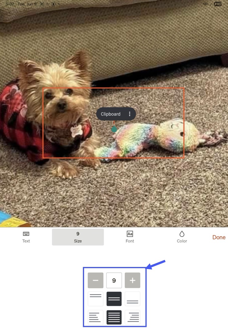 Adjust Text Size