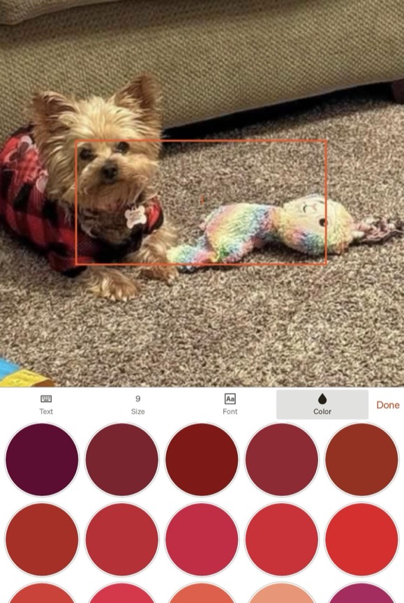 Select Text Color