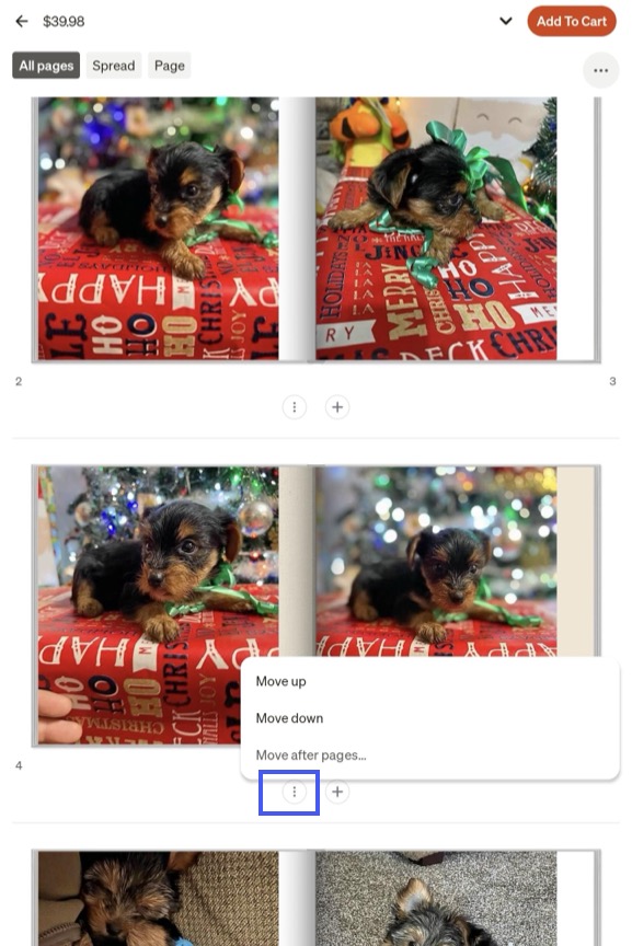 Page Options