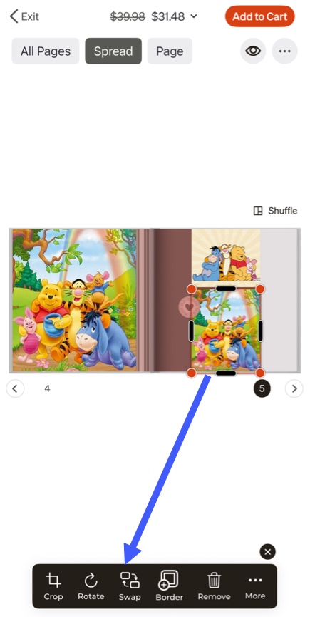 Swap Photos