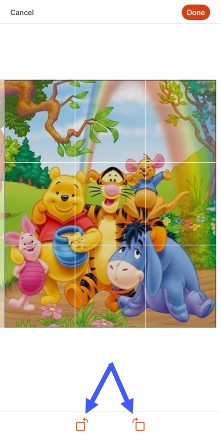 Crop Image