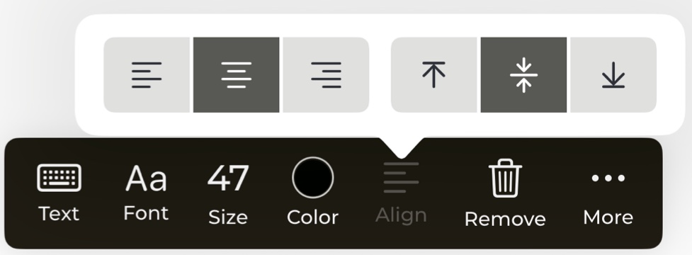 Alignment Options
