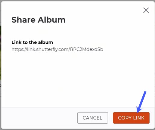 Click Copy Link