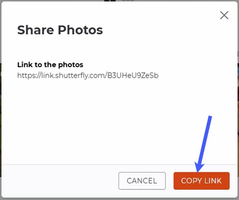 Click Copy Link