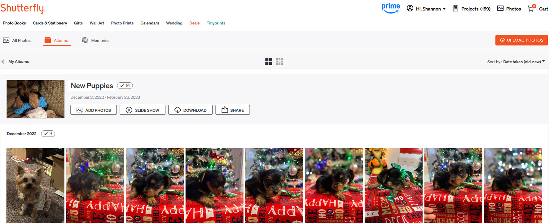 View Album