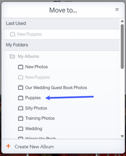 Select Album