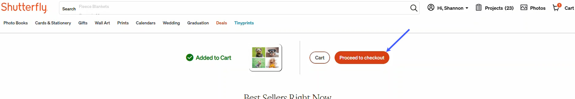 Click Proceed to Checkout