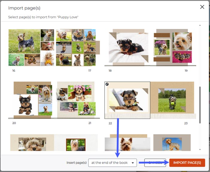 Import Pages