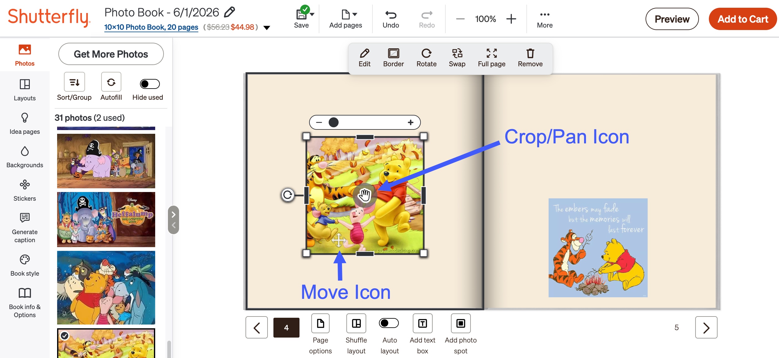 Crop/Pan & Move Icon