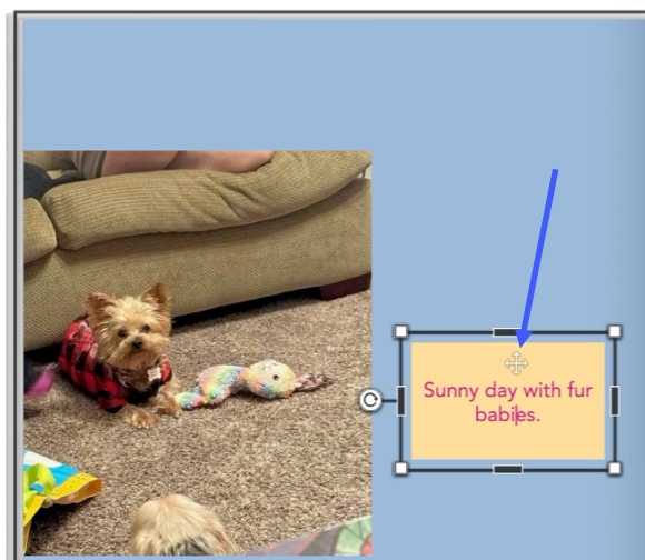 Reposition the Text Box