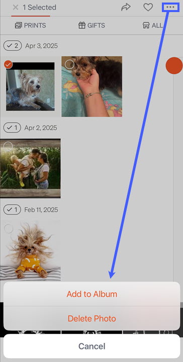 Three Horizontal Dot Options