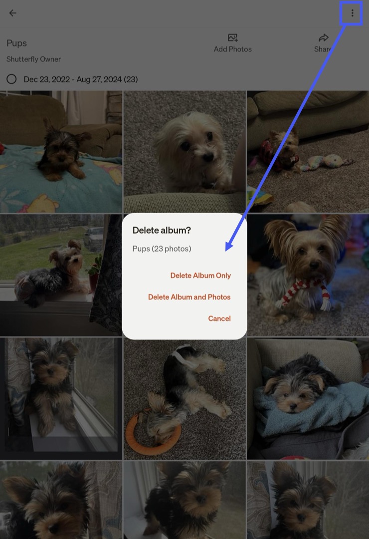 Delete Album Options