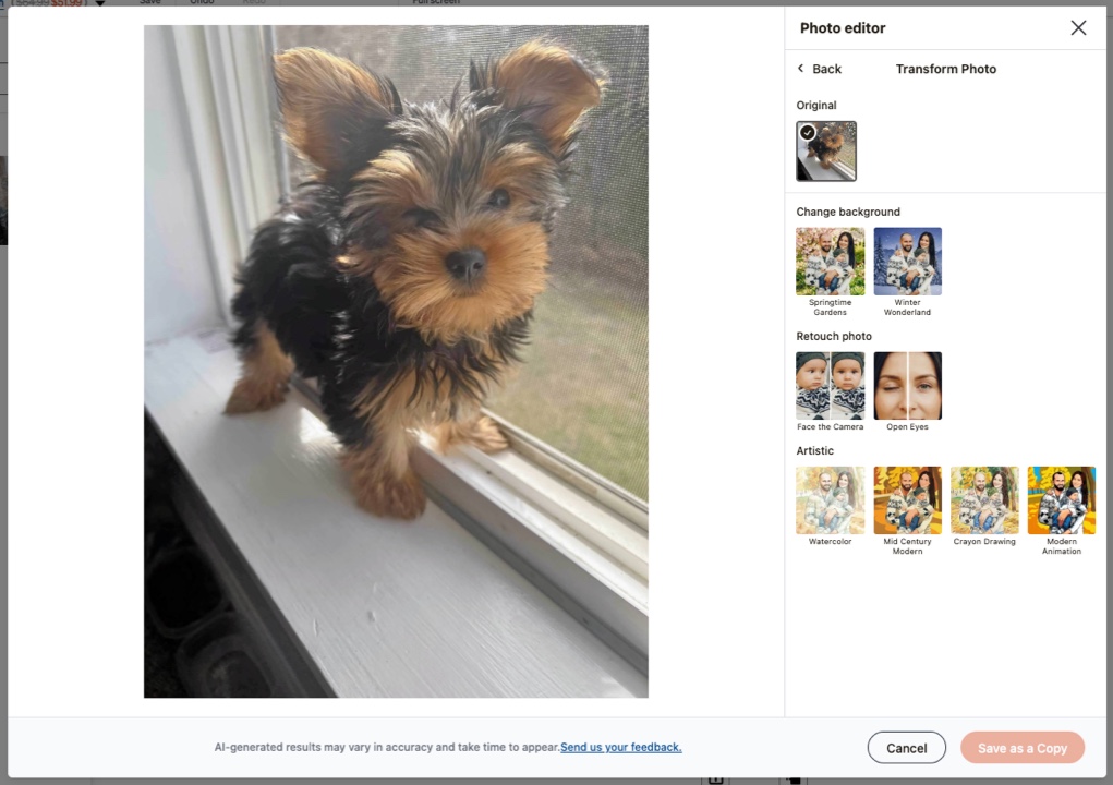 Select AI Editing Option