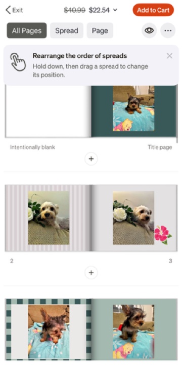 All Pages