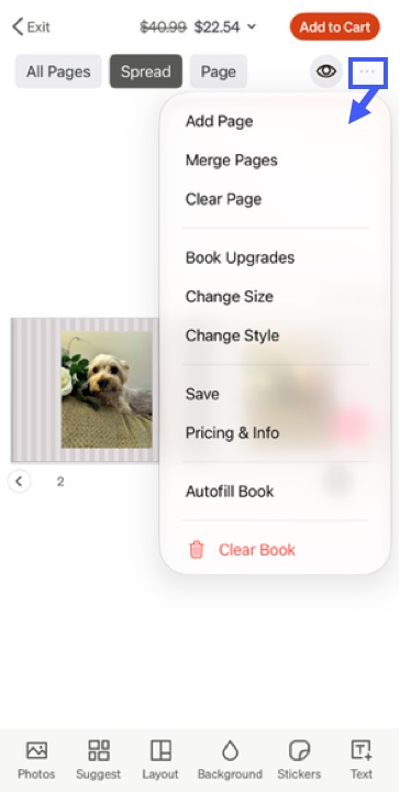 Additional Options