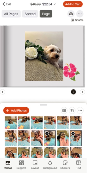 Page