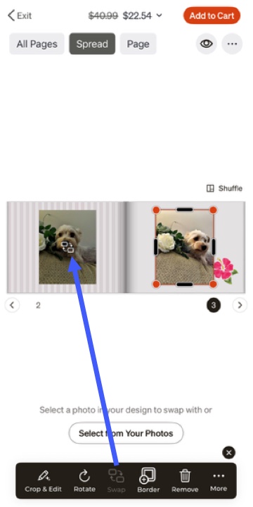 Swap Photos