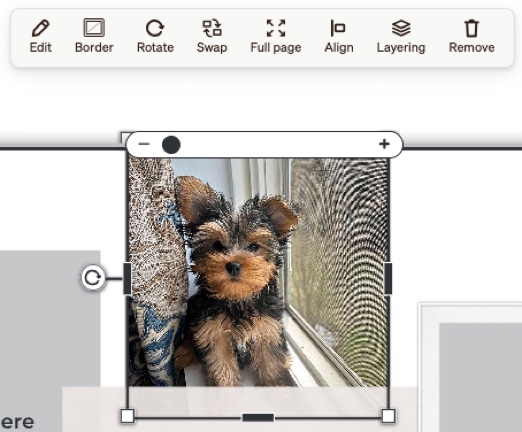 Photo Options
